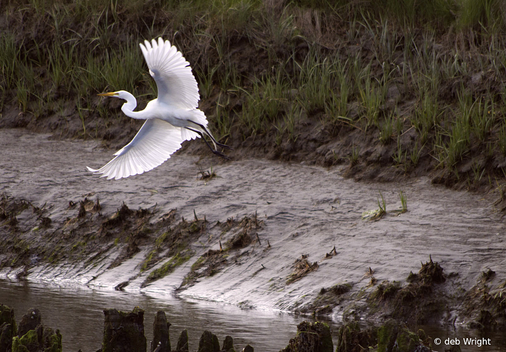 Taking Flight