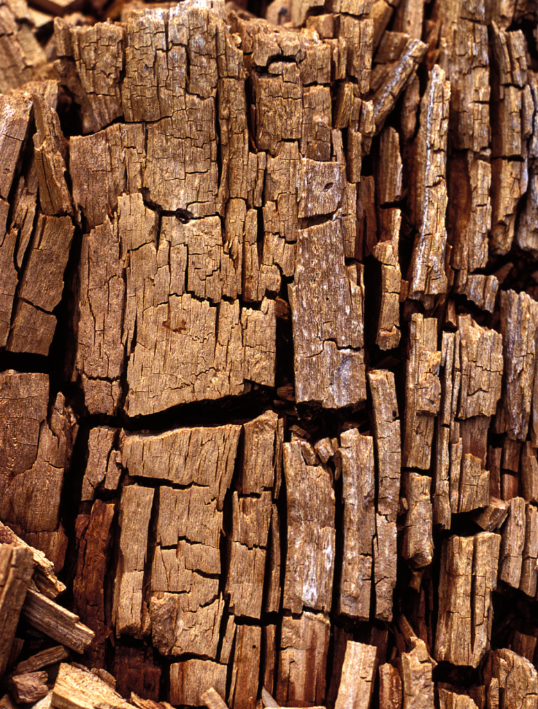 Old Wood 2006jpg