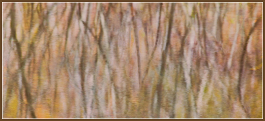 Reflection 908V8281.jpg