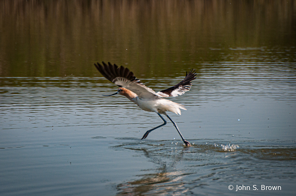 Walking on Water