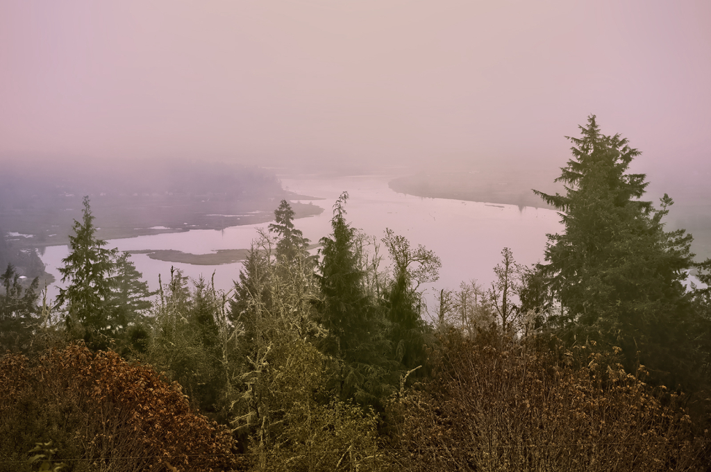 Fog over Youngs River