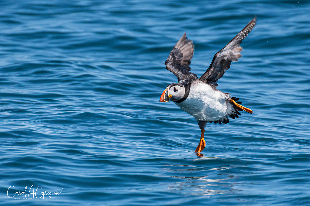 Taking Off!
