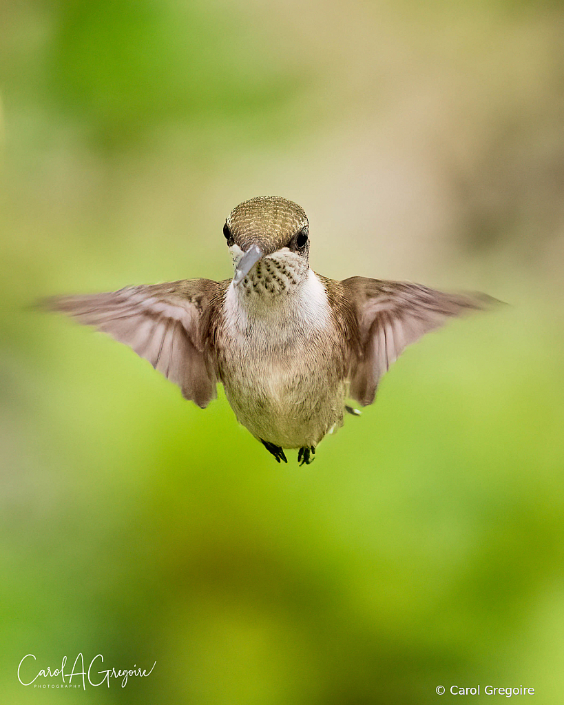 Enough - Put the Camera Away!