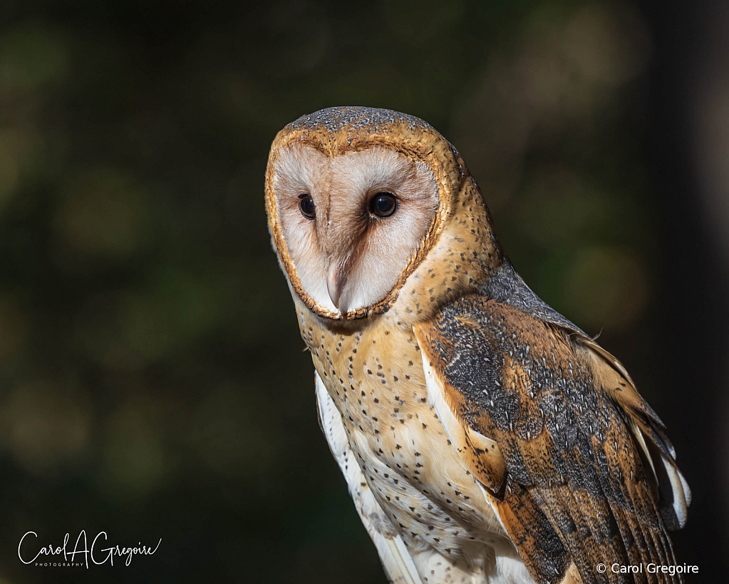 Yes - I'm Looking at You!