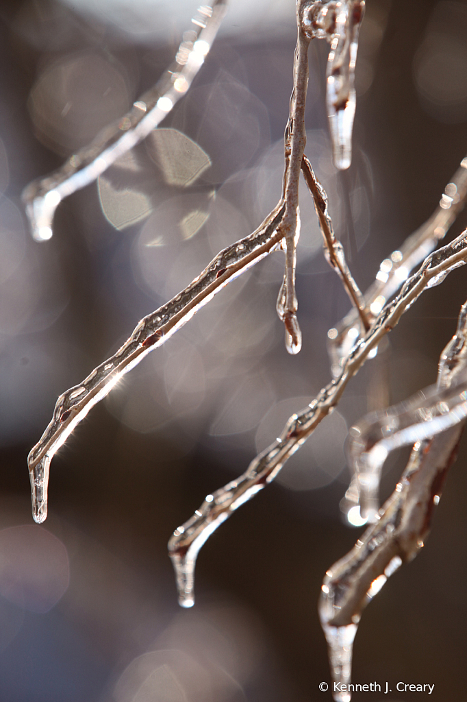 Winter's Chill