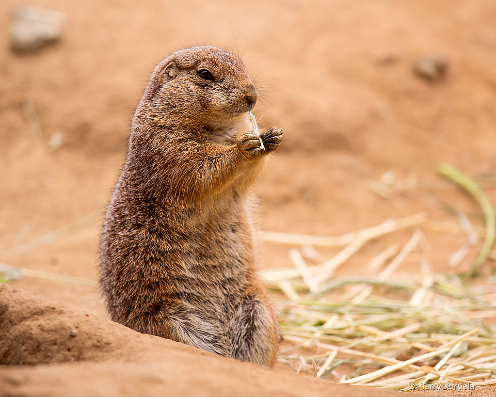 Grabbing a Snack