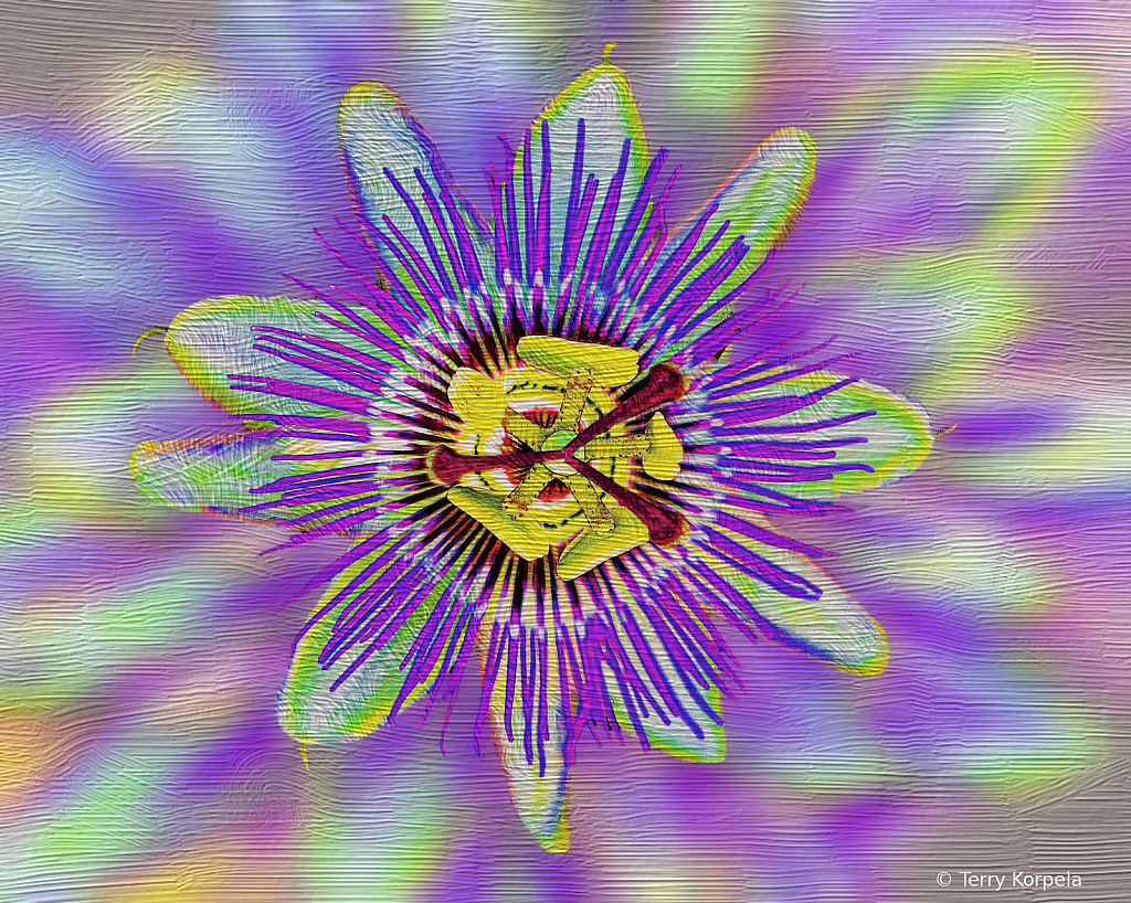 Flower Abstract