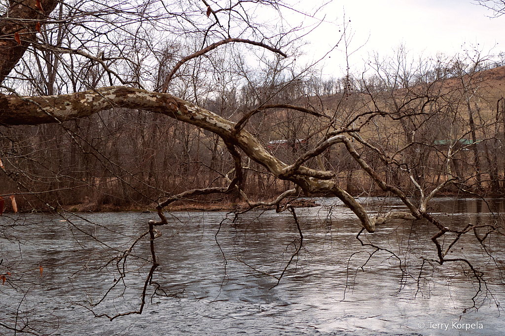 Along the Watauga River