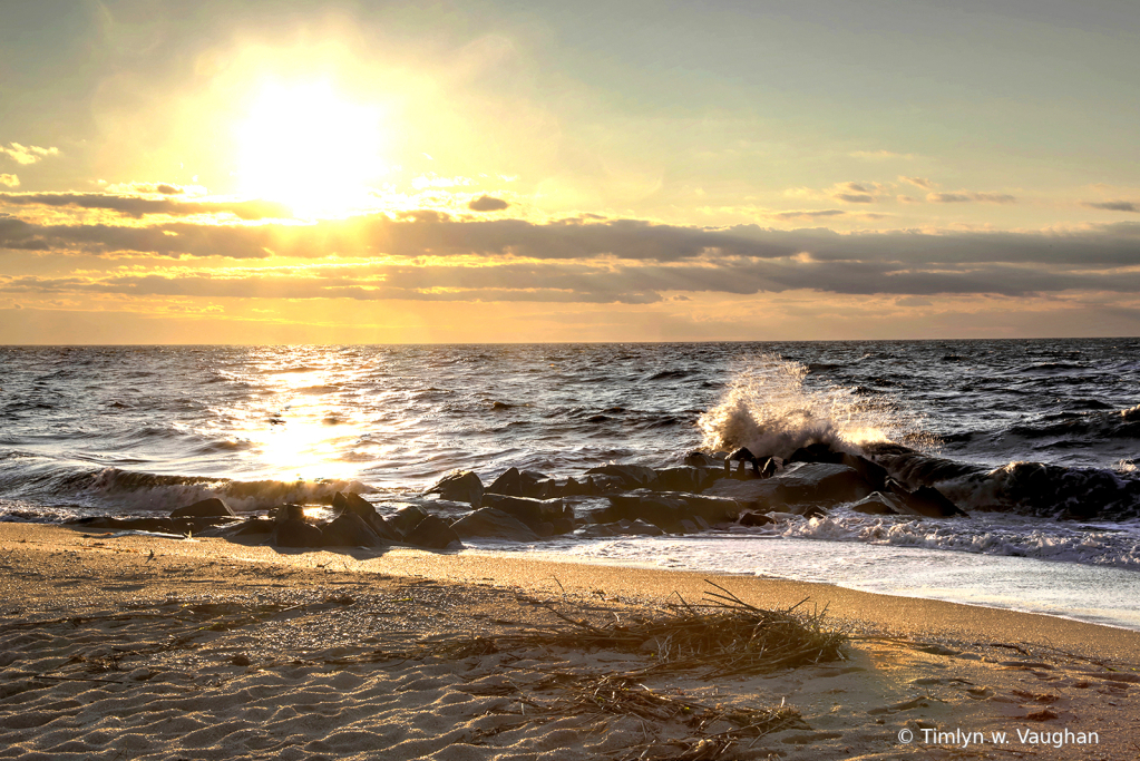 Tip of Cape May