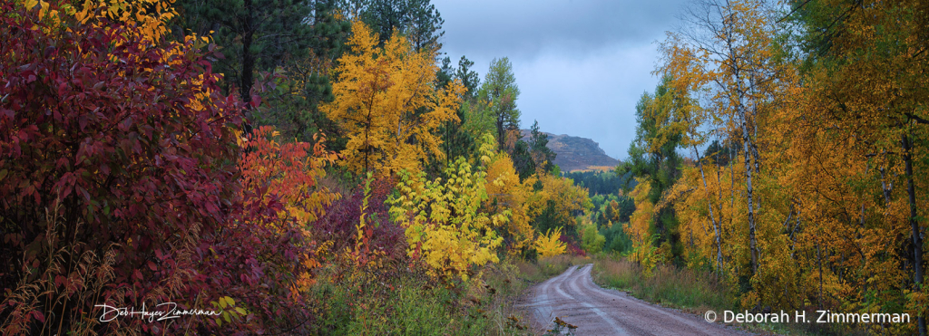 Colorful Rte to Deadwood