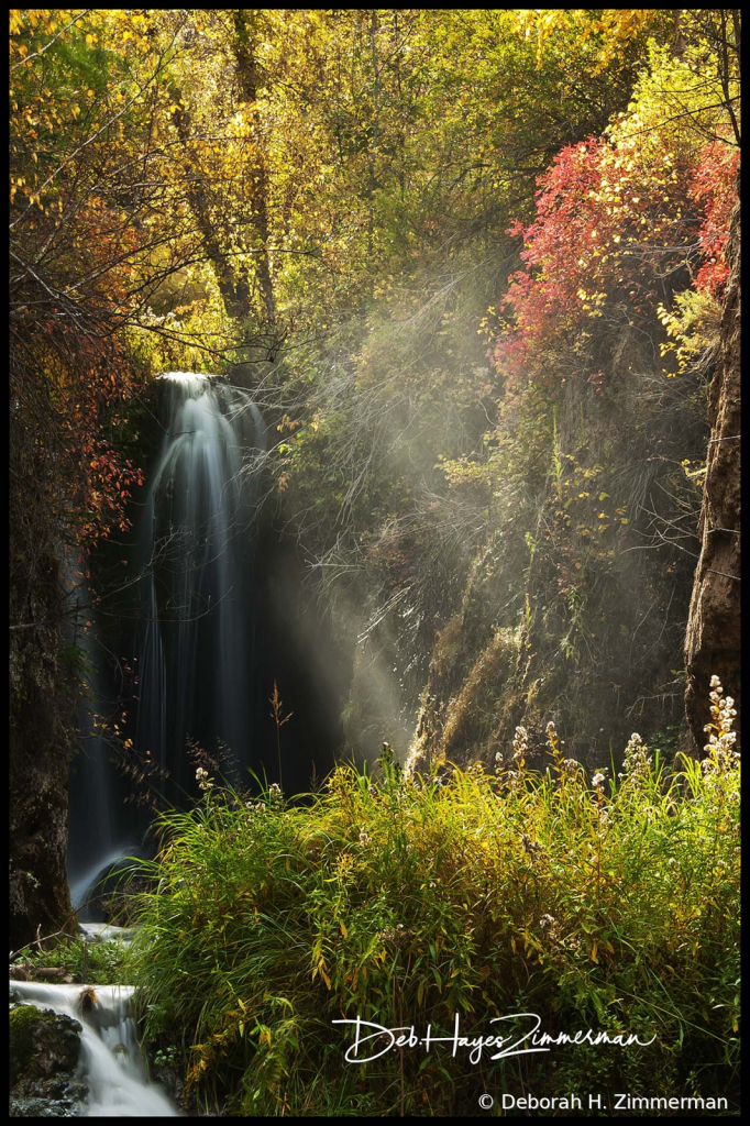 Autumn Roughlock Falls with Rays of Light