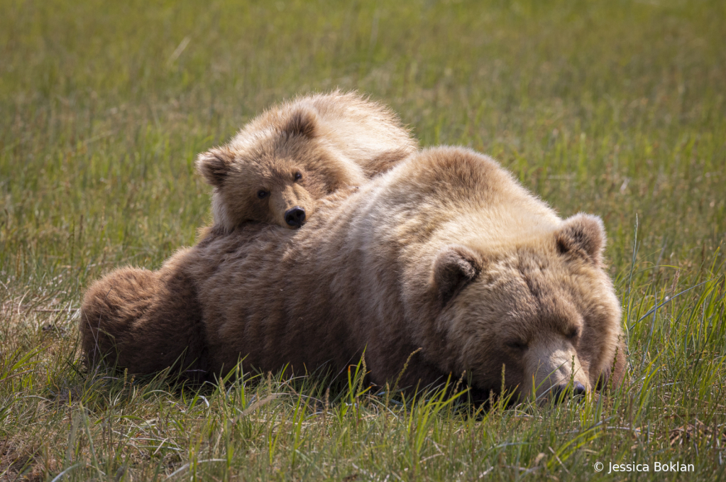 Nap Time 