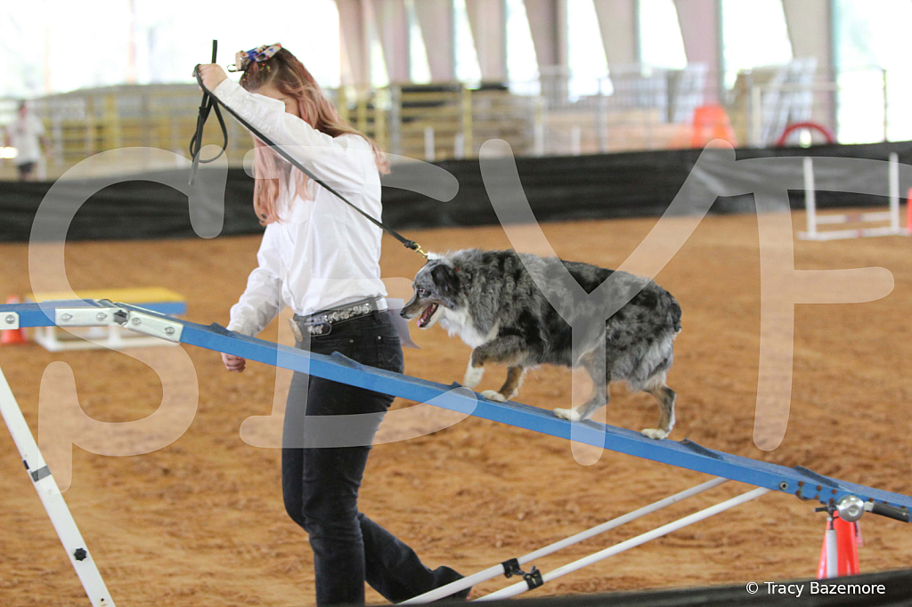 dog1059