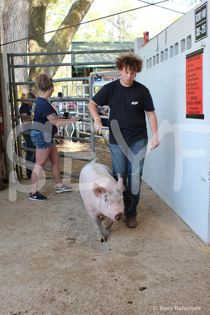 swine9057