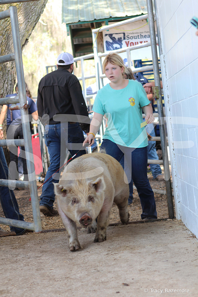 swine9071