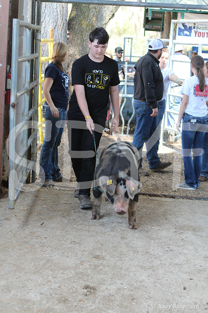 swine9075