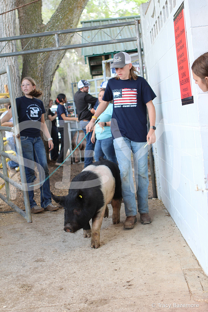 swine9089