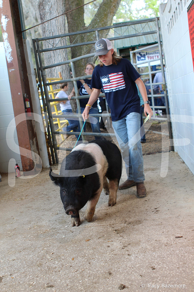 swine9090