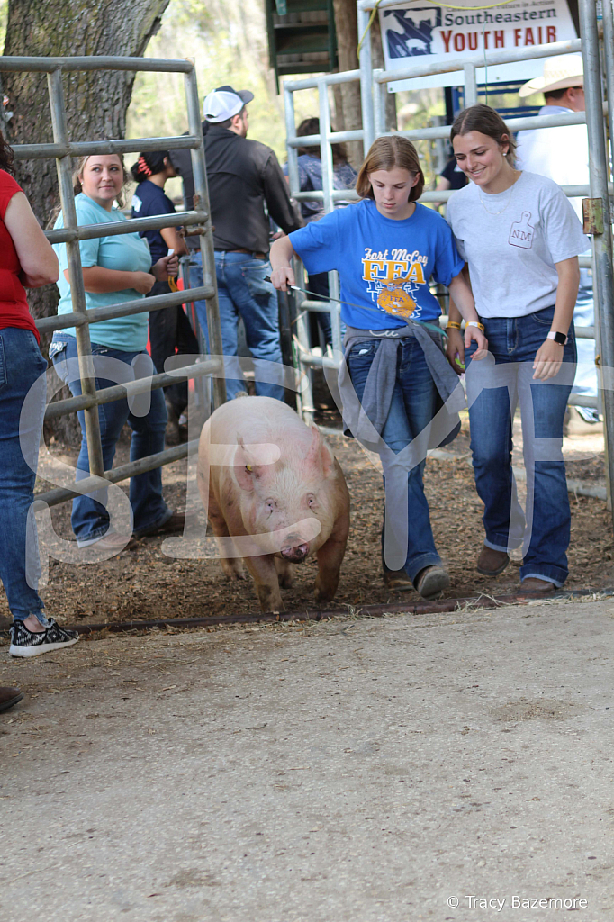 swine9097