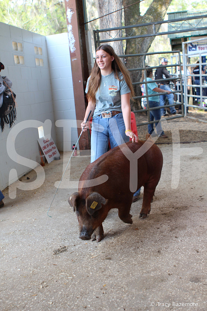 swine9100