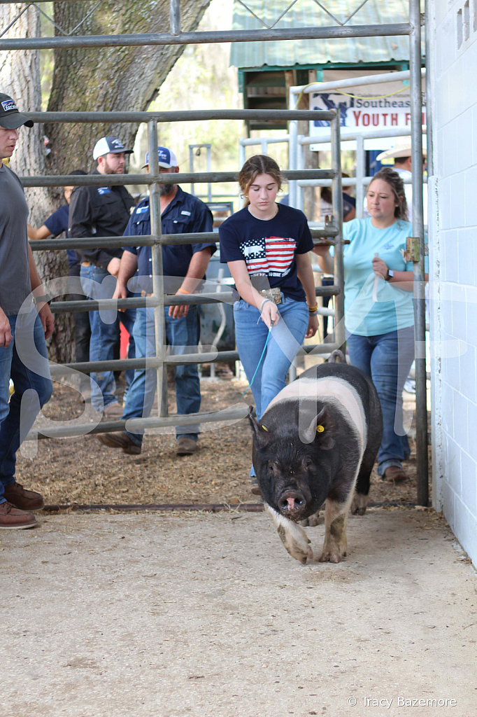 swine9101