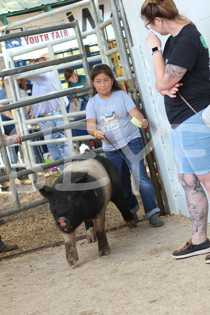 swine9106