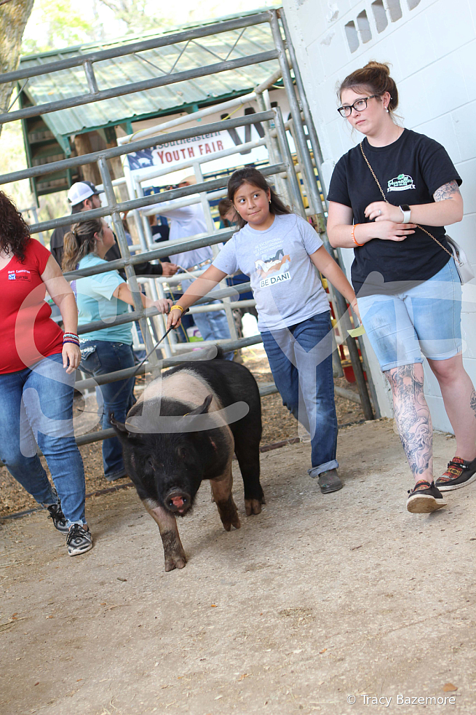 swine9107