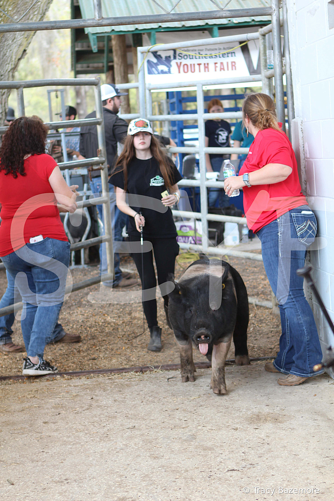 swine9108