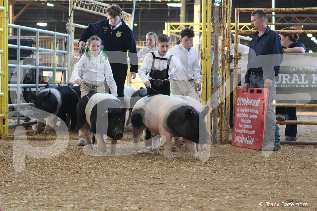 swine0124