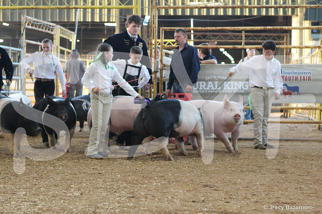 swine0126