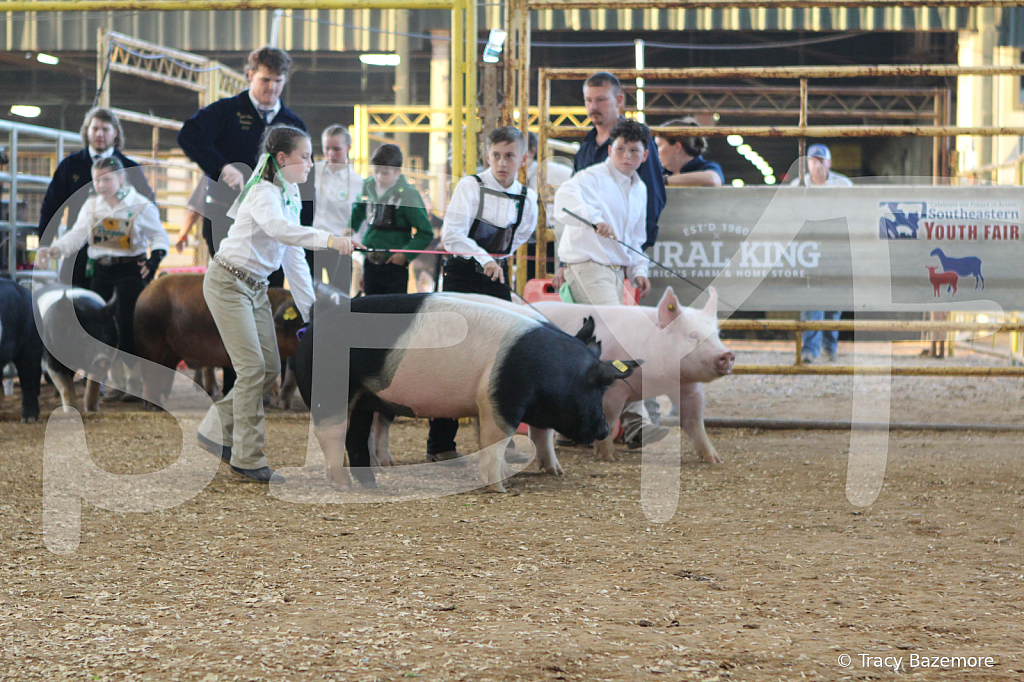 swine0125
