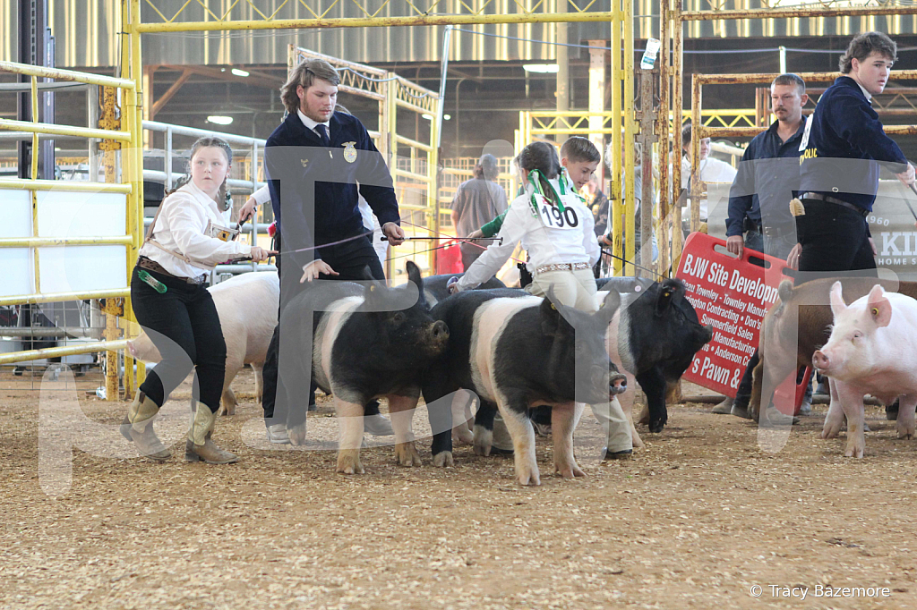 swine0127