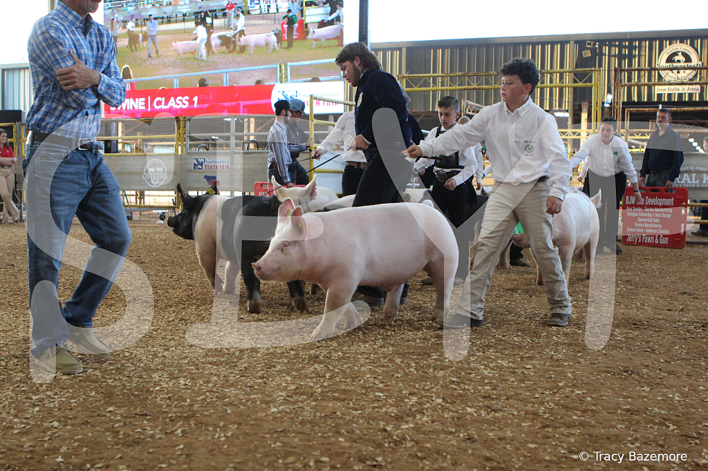 swine0129