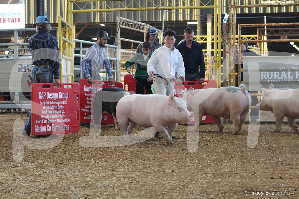 swine0136