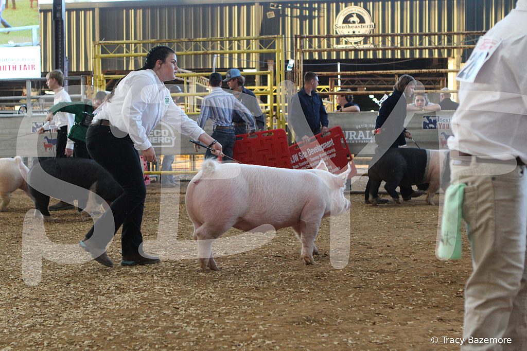 swine0138