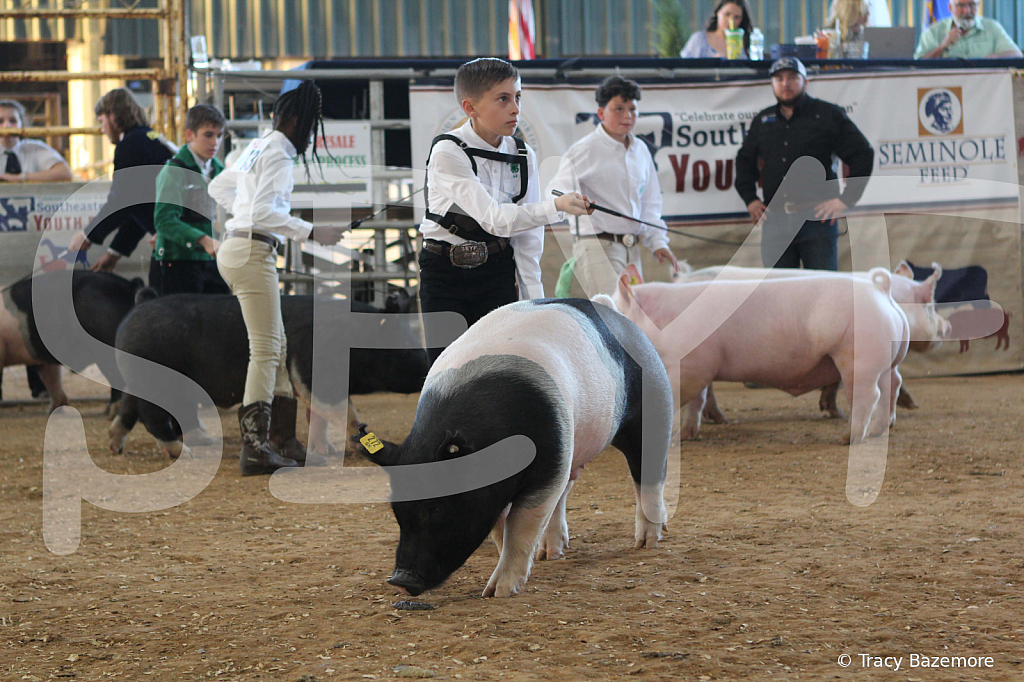 swine0139