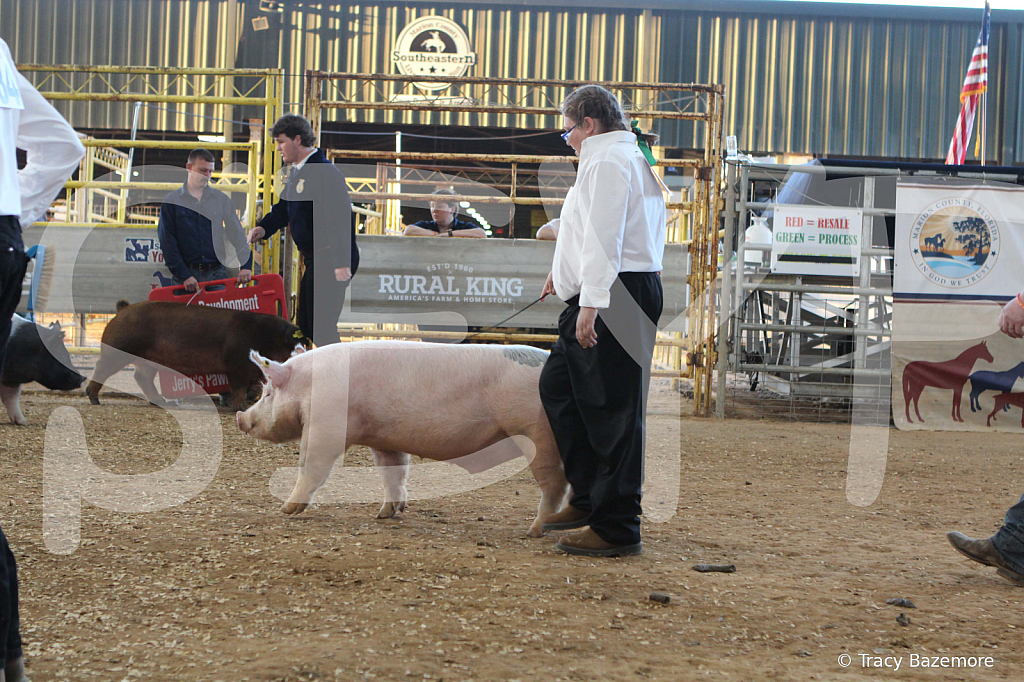 swine0140
