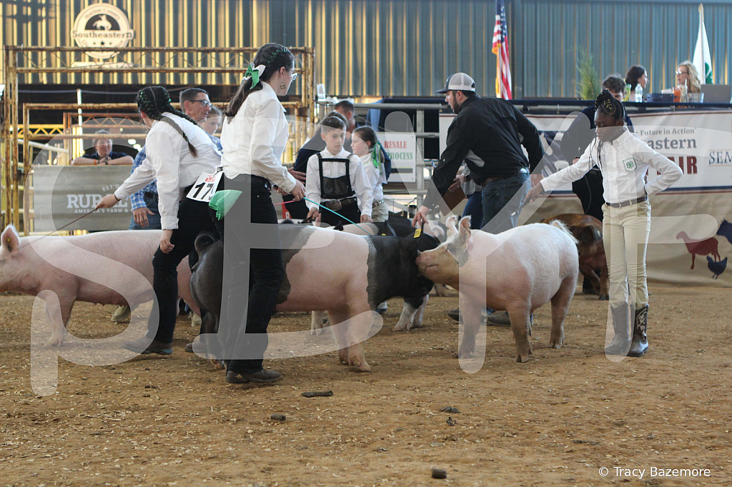 swine0142