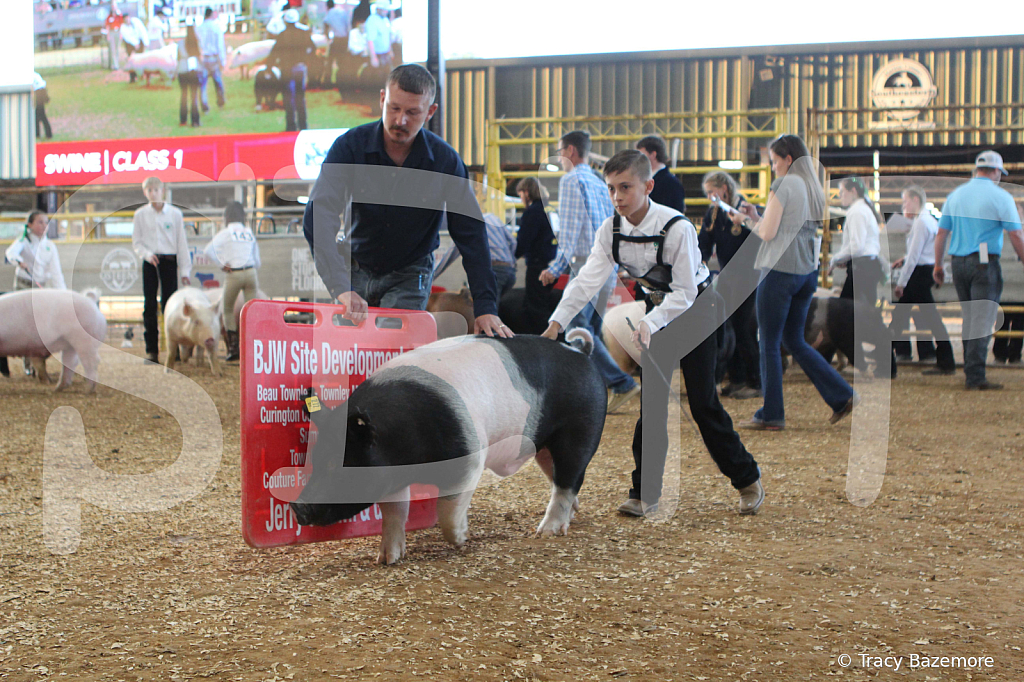 swine0144
