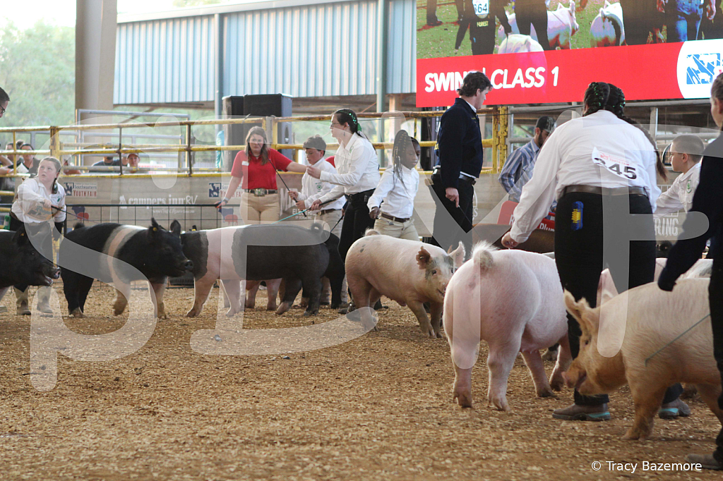 swine0145
