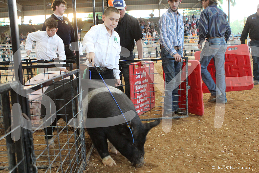 swine0150