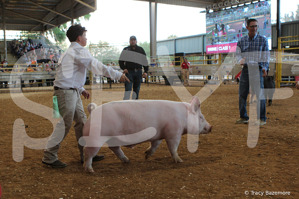 swine0152