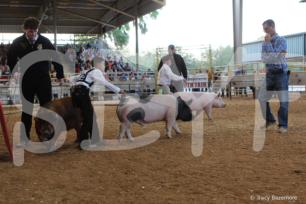 swine0153