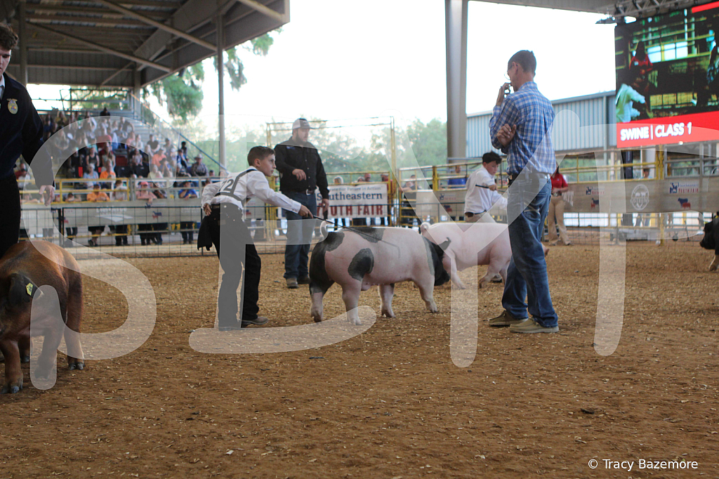 swine0154