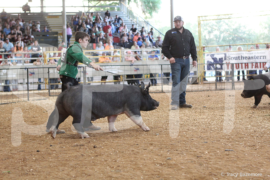 swine0155