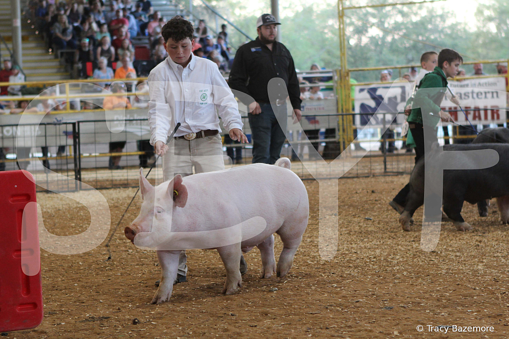 swine0157