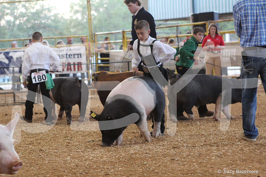 swine0158