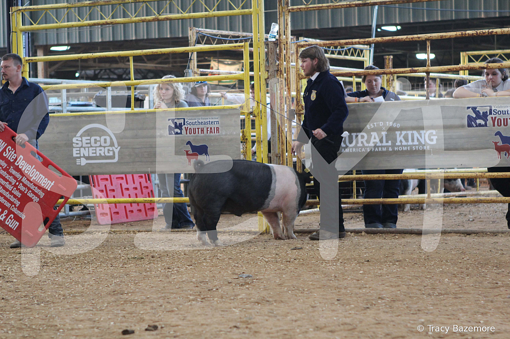 swine0159