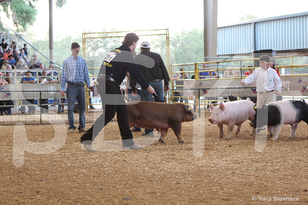 swine0161