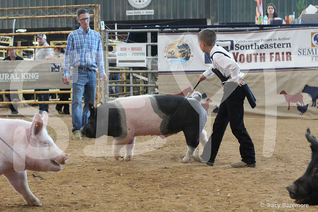 swine0164